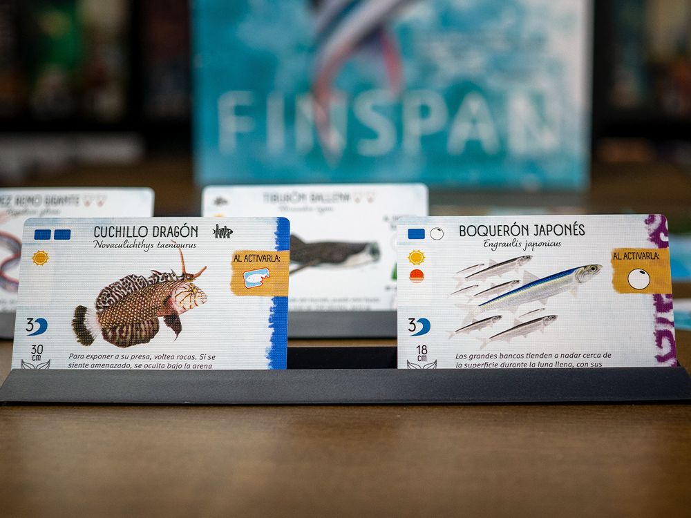 Finspan - Imagen 5